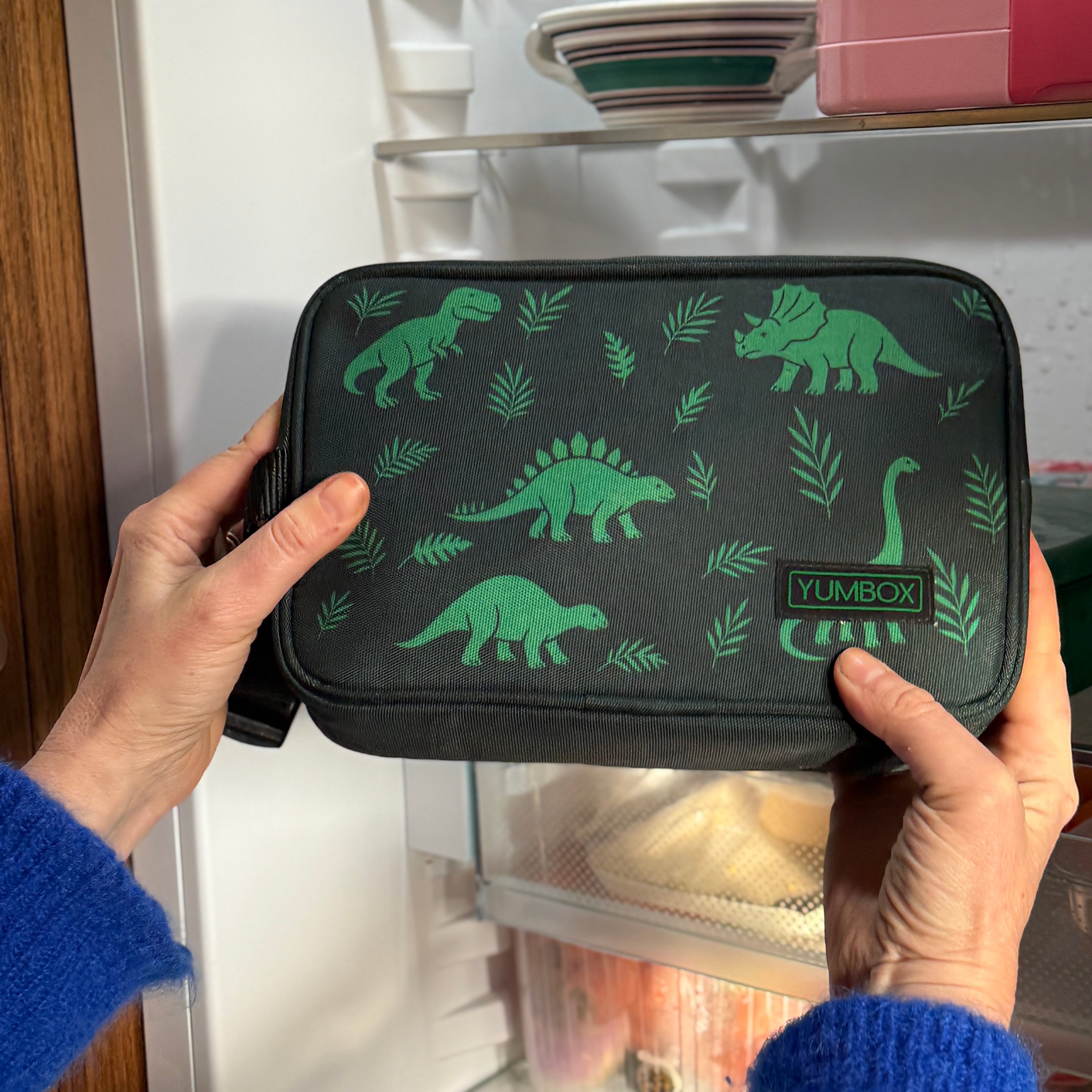 Yumbox Chill svačinová taška Dinos s chladicími vložkami