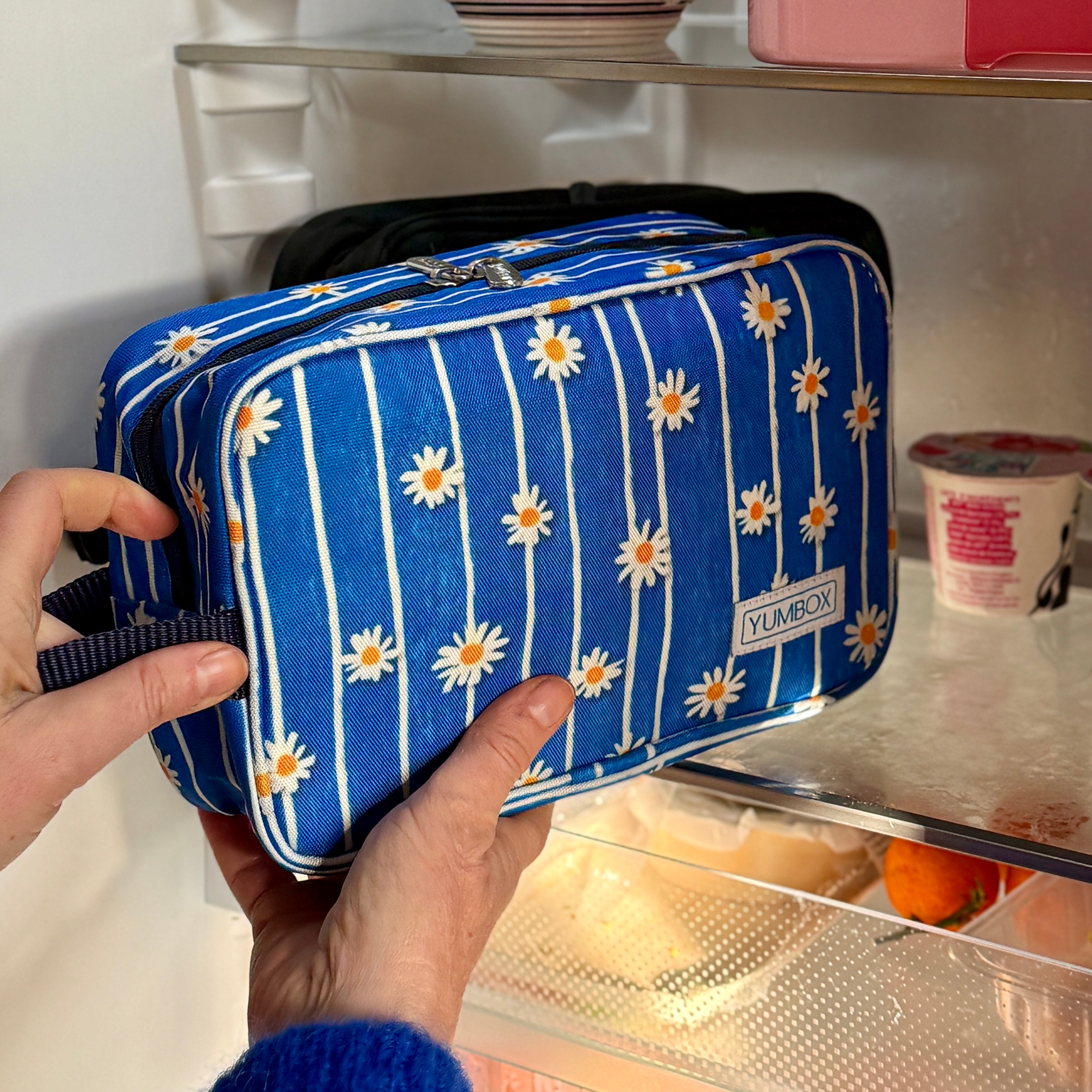 Yumbox Chill termo taška na svačinu Daisy Stripes Blue + vložky
