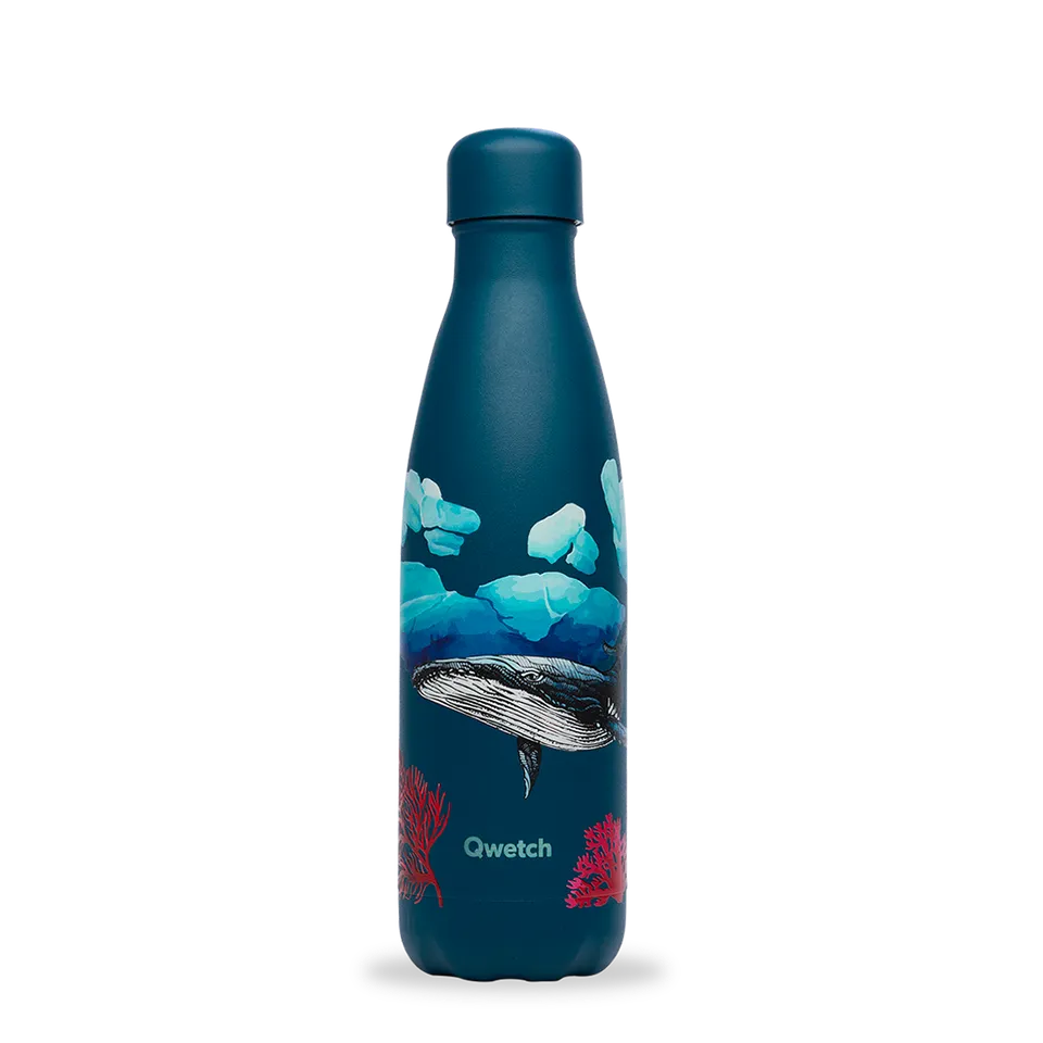 Qwetch Originals Banquise Baleine termolahev 500 ml Re-Love