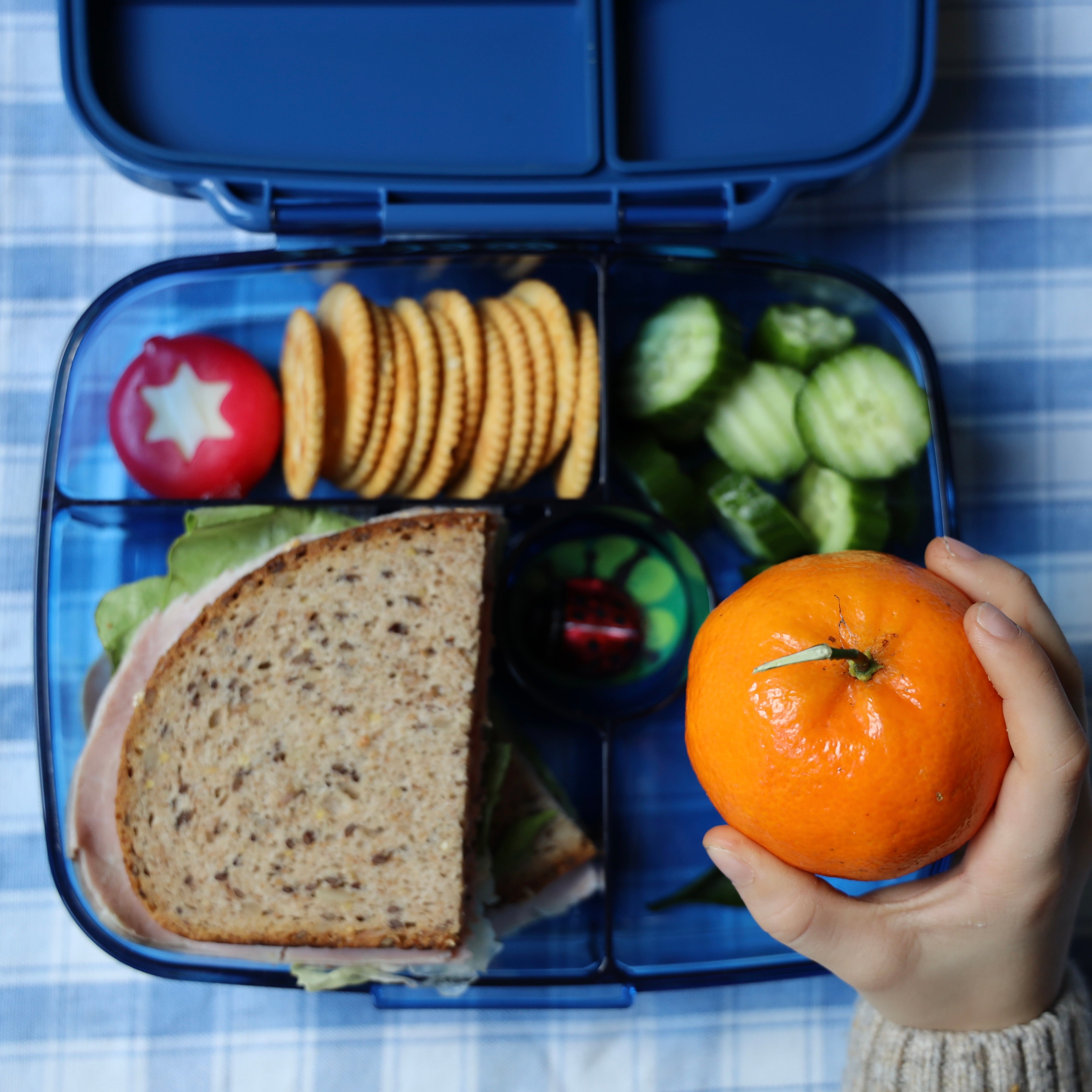 Yumbox Go Large Deep svačinový box Oslo Blue nepropustný