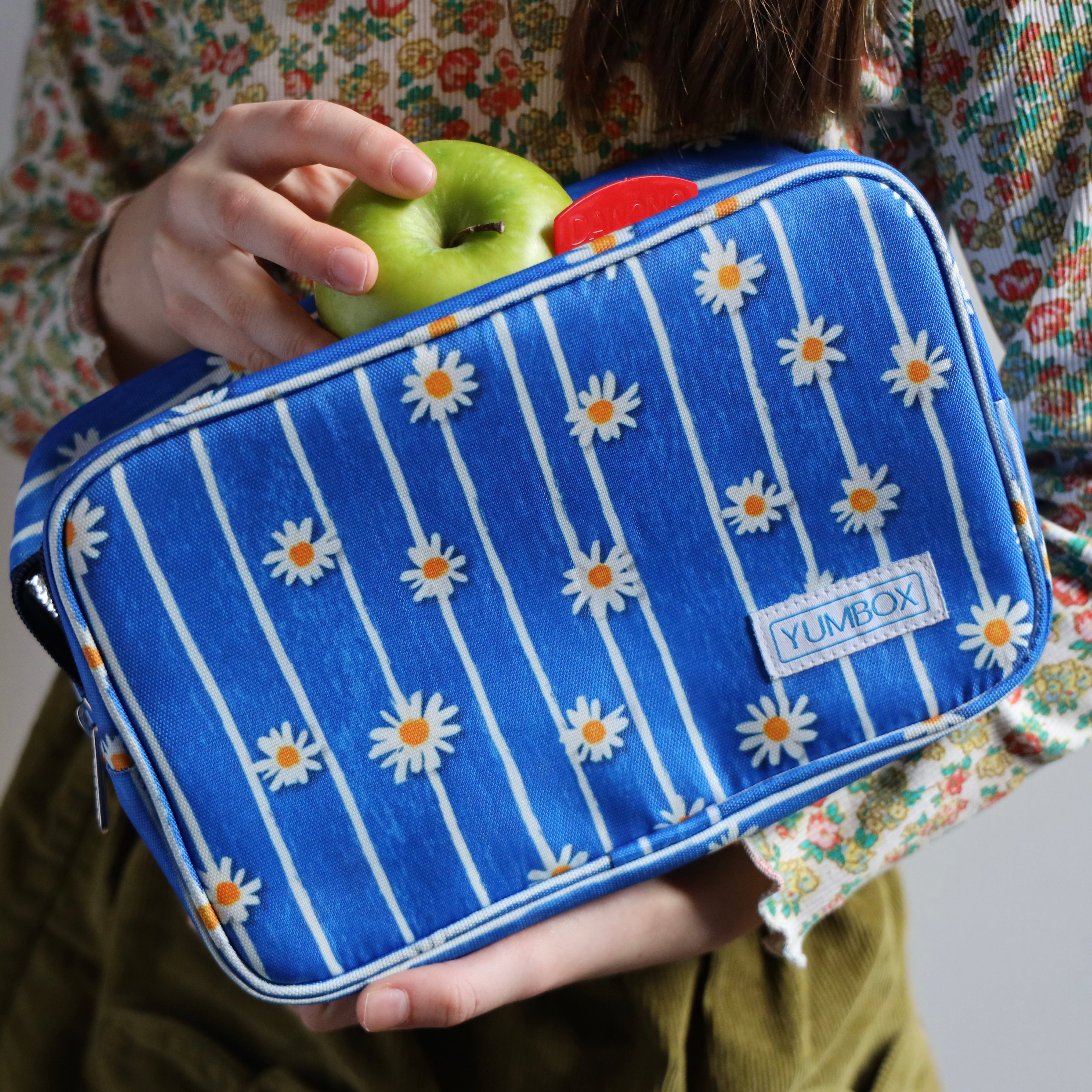 Yumbox Chill termo taška na svačinu Daisy Stripes Blue + vložky