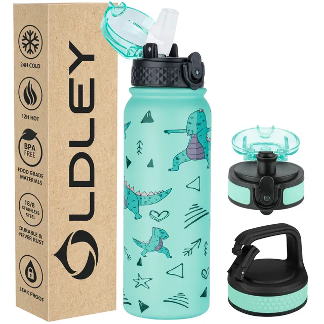 Oldley 20oz Triple Lid termolahev dinosaurus 600 ml
